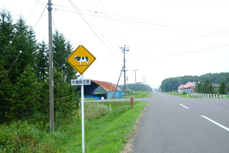 牛横断注意の看板がある🐄