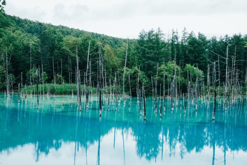 青い池