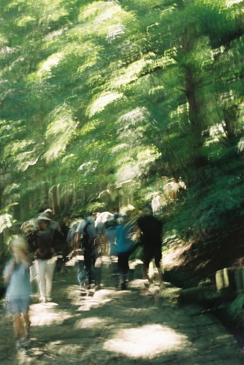 山寺の階段