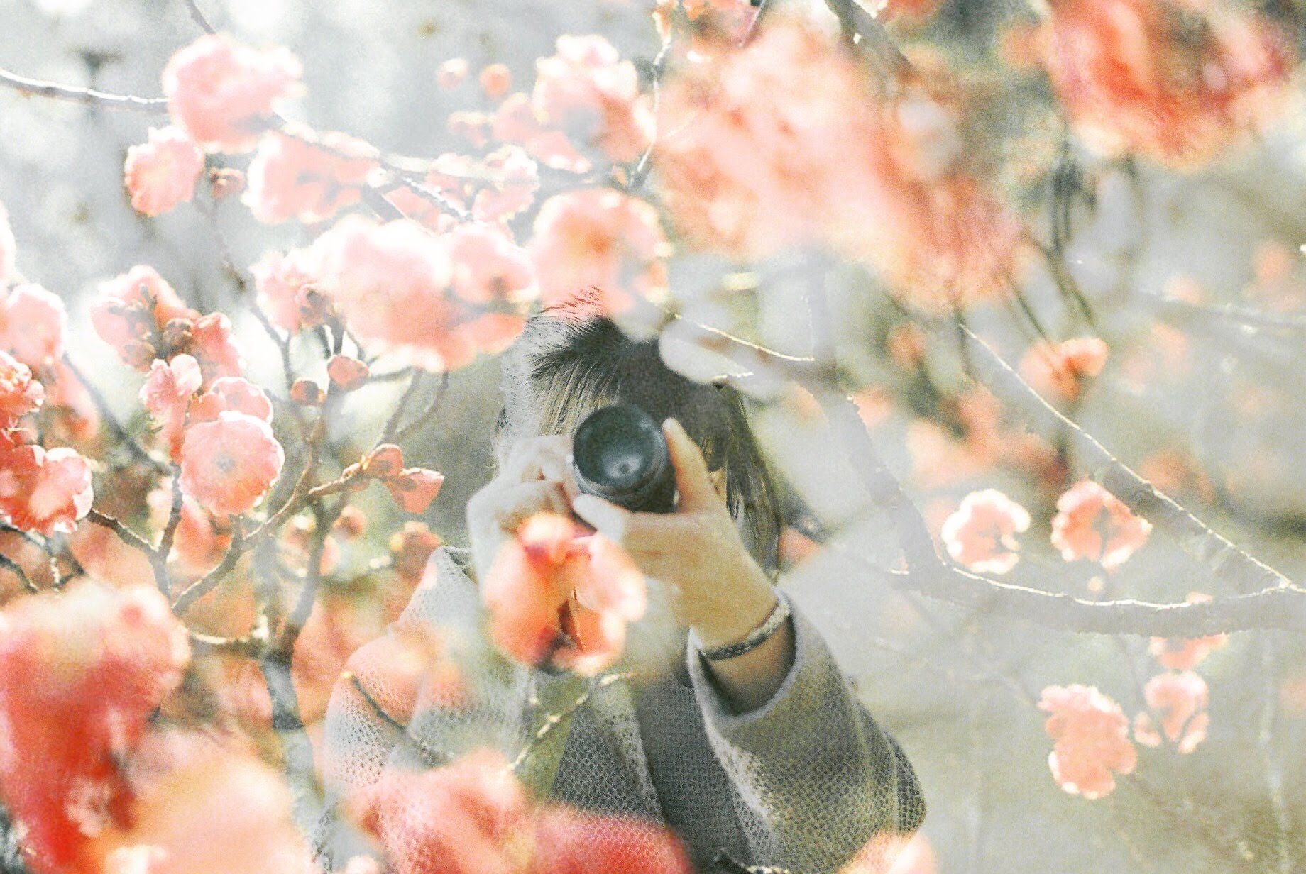 ume