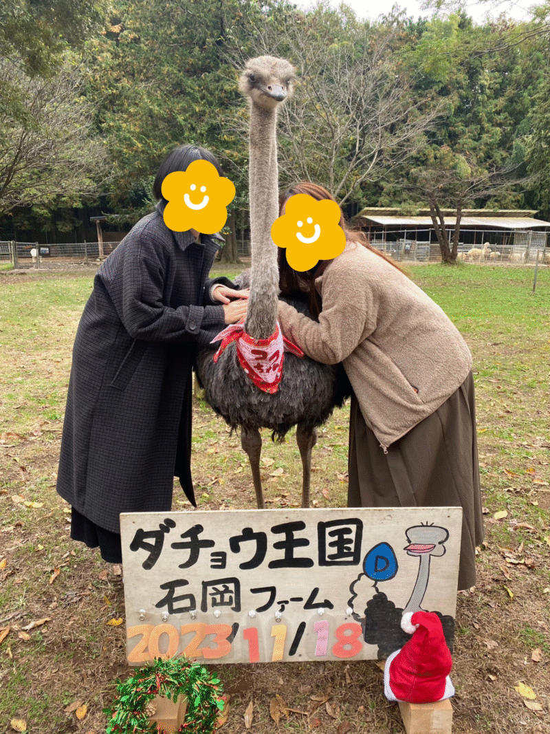 ダチョウと触れ合う