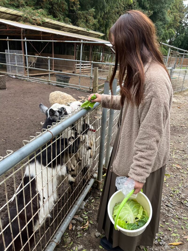 餌やり