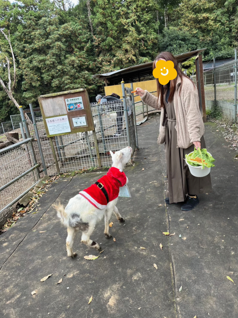 えさやり