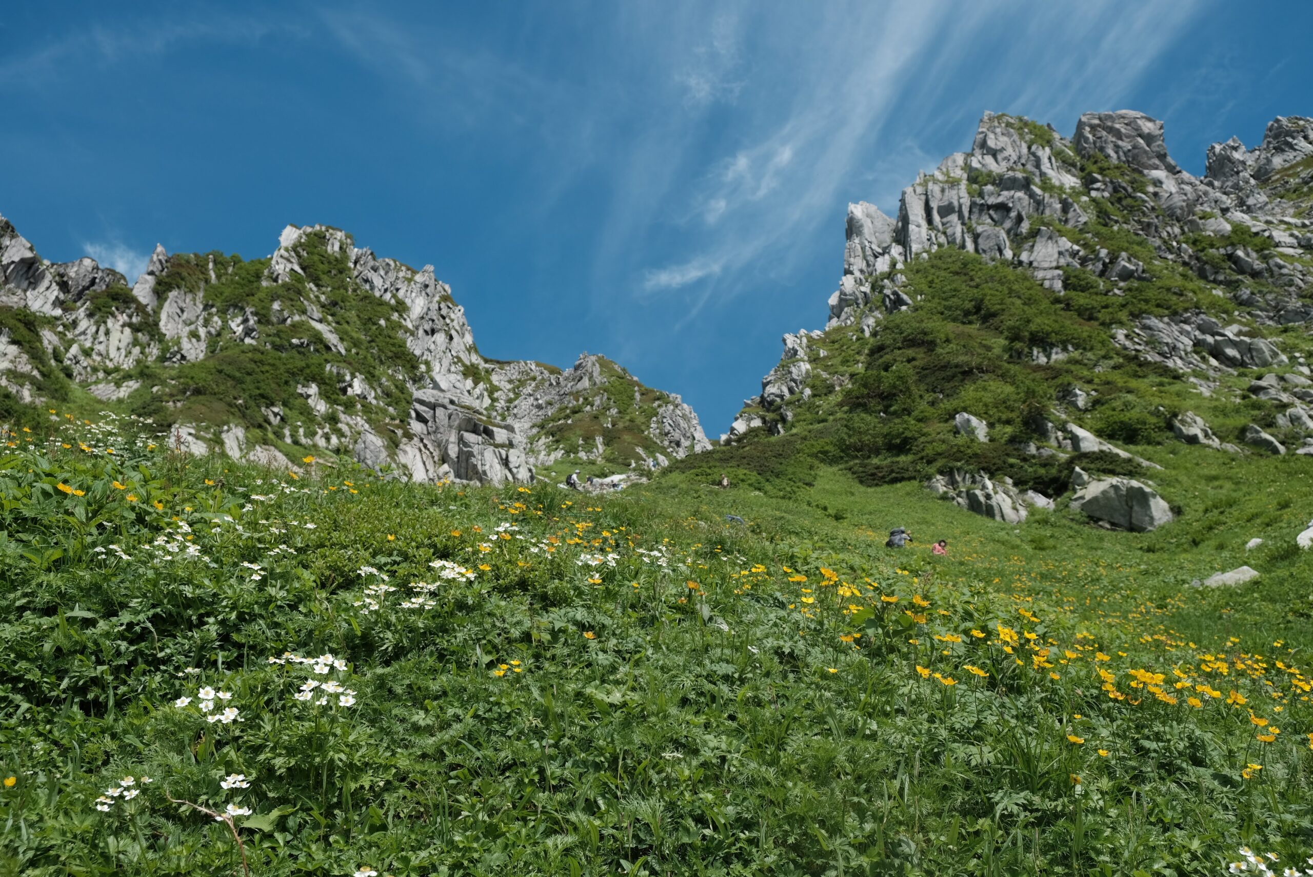 夏の木曽駒ケ岳