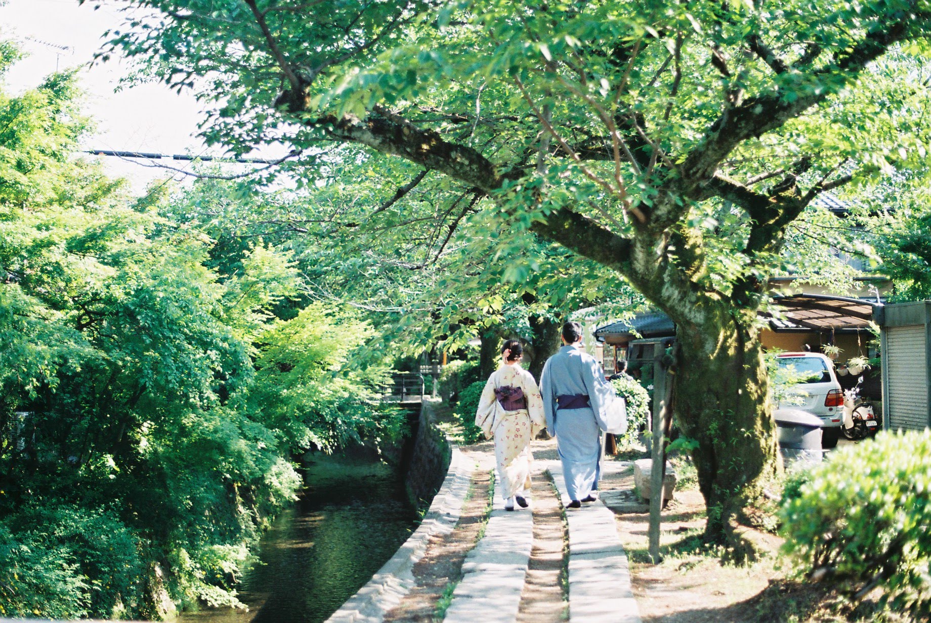 夏の哲学の道